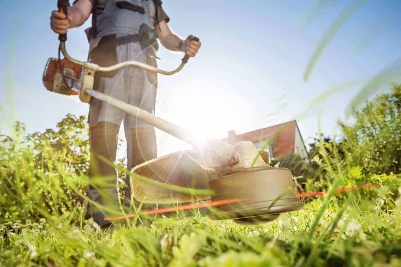 lawn trimming