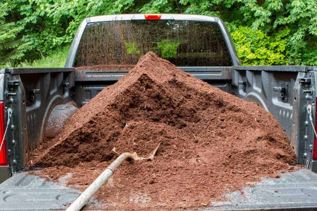 mulch